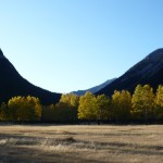 Near Banff