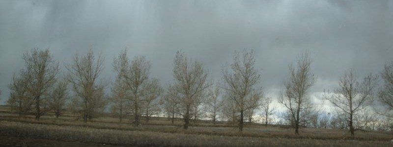DSC06302