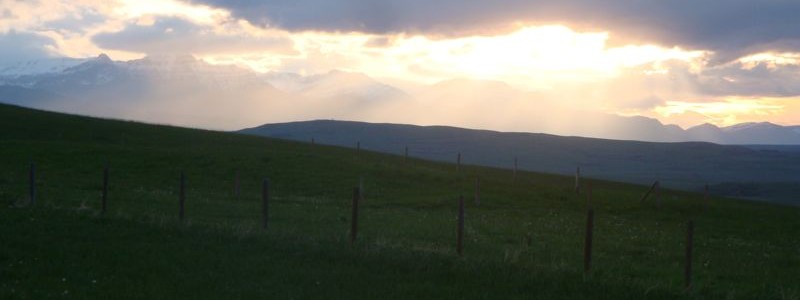 DSC07120